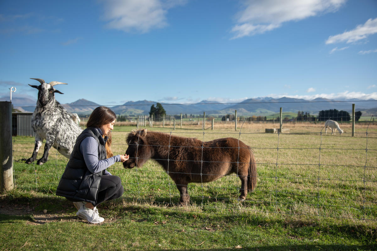Agri-Tourism in New Zealand