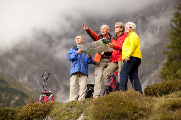 Guided Farm Visits for Older Adults in New Zealand